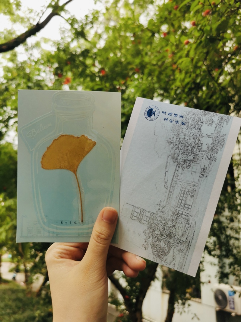 医学学子便捡取校园内的银杏树叶,制作成精美的银杏叶明信片